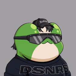 DSNR #8197
