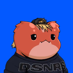 DSNR #909