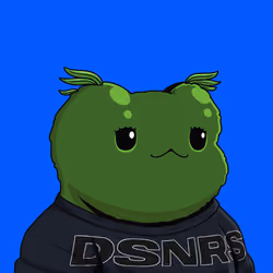 DSNR #2770