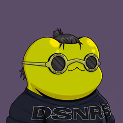 DSNR #8839