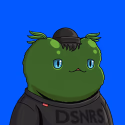 DSNR #2903