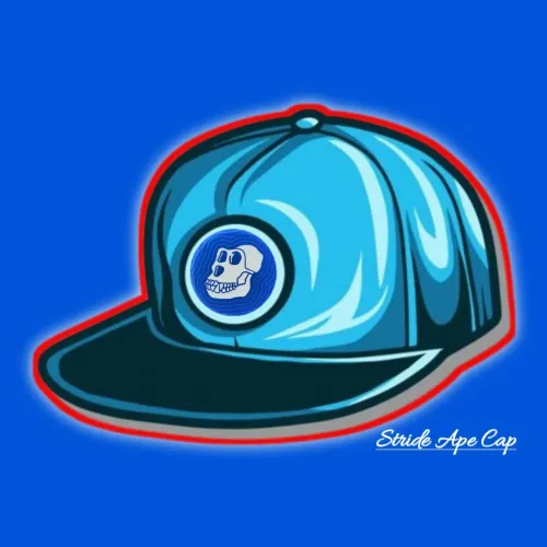 APE CAP-S #317