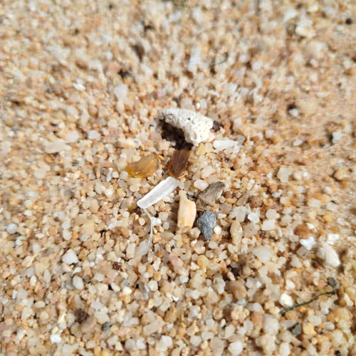 Seaglass #3