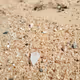 Seaglass
