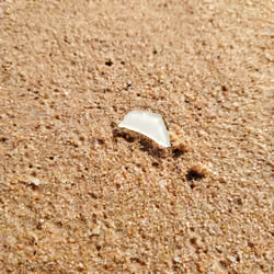 Seaglass #50