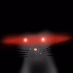 1297