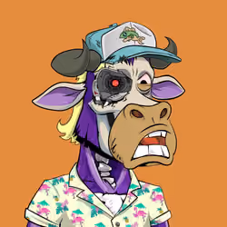 Lazy Bull Club #172