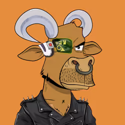 Lazy Bull Club #908