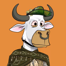 Lazy Bull Club #1516