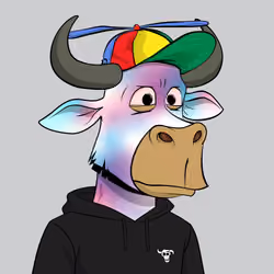 Lazy Bull Club #73