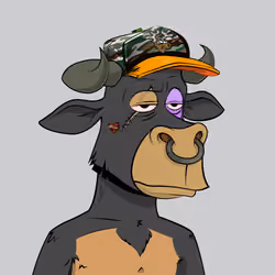Lazy Bull Club #354
