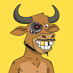 Lazy Bull Club #74