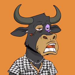 Lazy Bull Club #3288