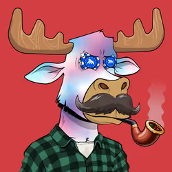 Lazy Bull Club #2741