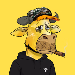 Lazy Bull Club #494