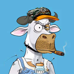 Lazy Bull Club #1899