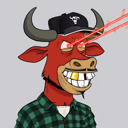 Lazy Bull Club #355