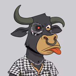 Lazy Bull Club #1737