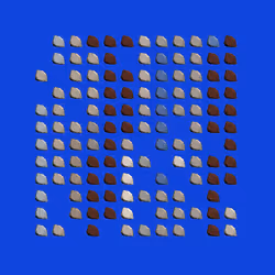 62
