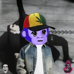 Monktardio #289