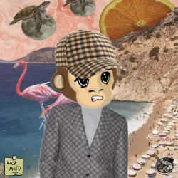 Monktardio #89