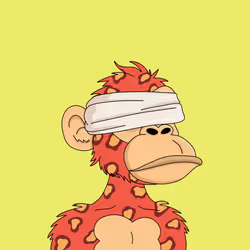 355
