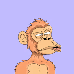 697