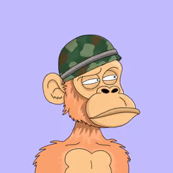 146