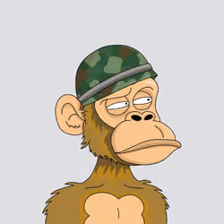 494