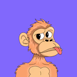 658