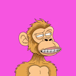 224