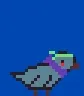 Stupid goose #707
