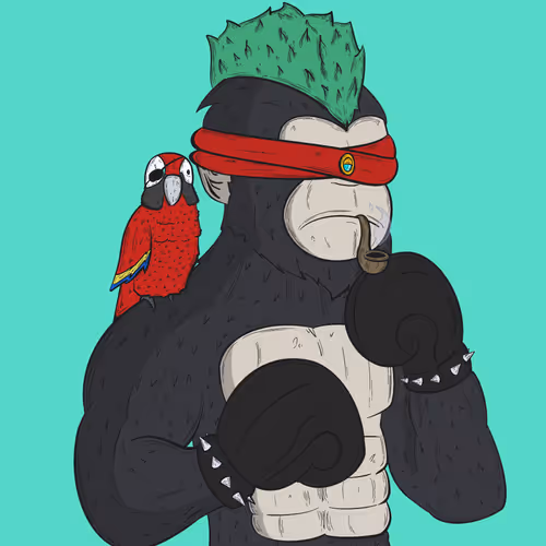 Ape in Arena #396