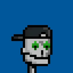 Roobo Punk #315