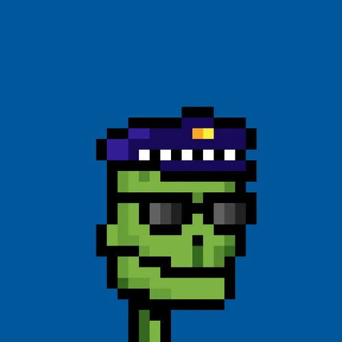 Roobo Punk #817