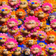 463