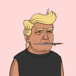 President Trump 2024 #7244