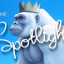The Spotlight #13220