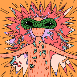 62