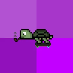 BITTURTLES #507