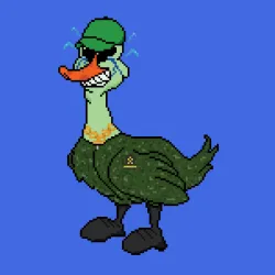 303