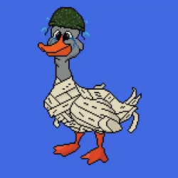 164