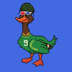1036