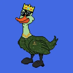 244