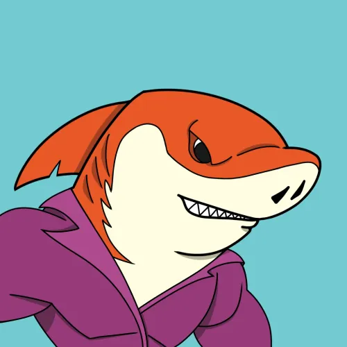 Ape Shark #136
