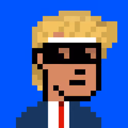 Ape Donald Punk #548