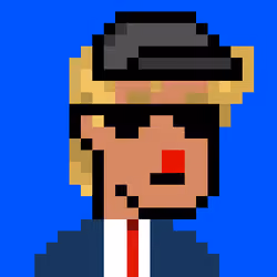 Ape Donald Punk #270