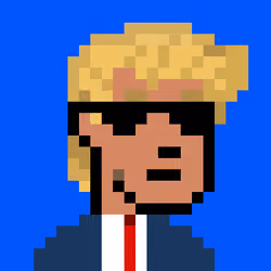 Ape Donald Punk #562
