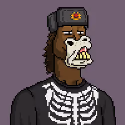 Horse Club #41