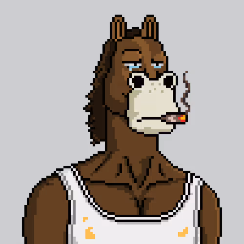 Horse Club #874